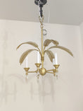 Bild in Galerie-Betrachter laden, Palm Frond Chandelier

