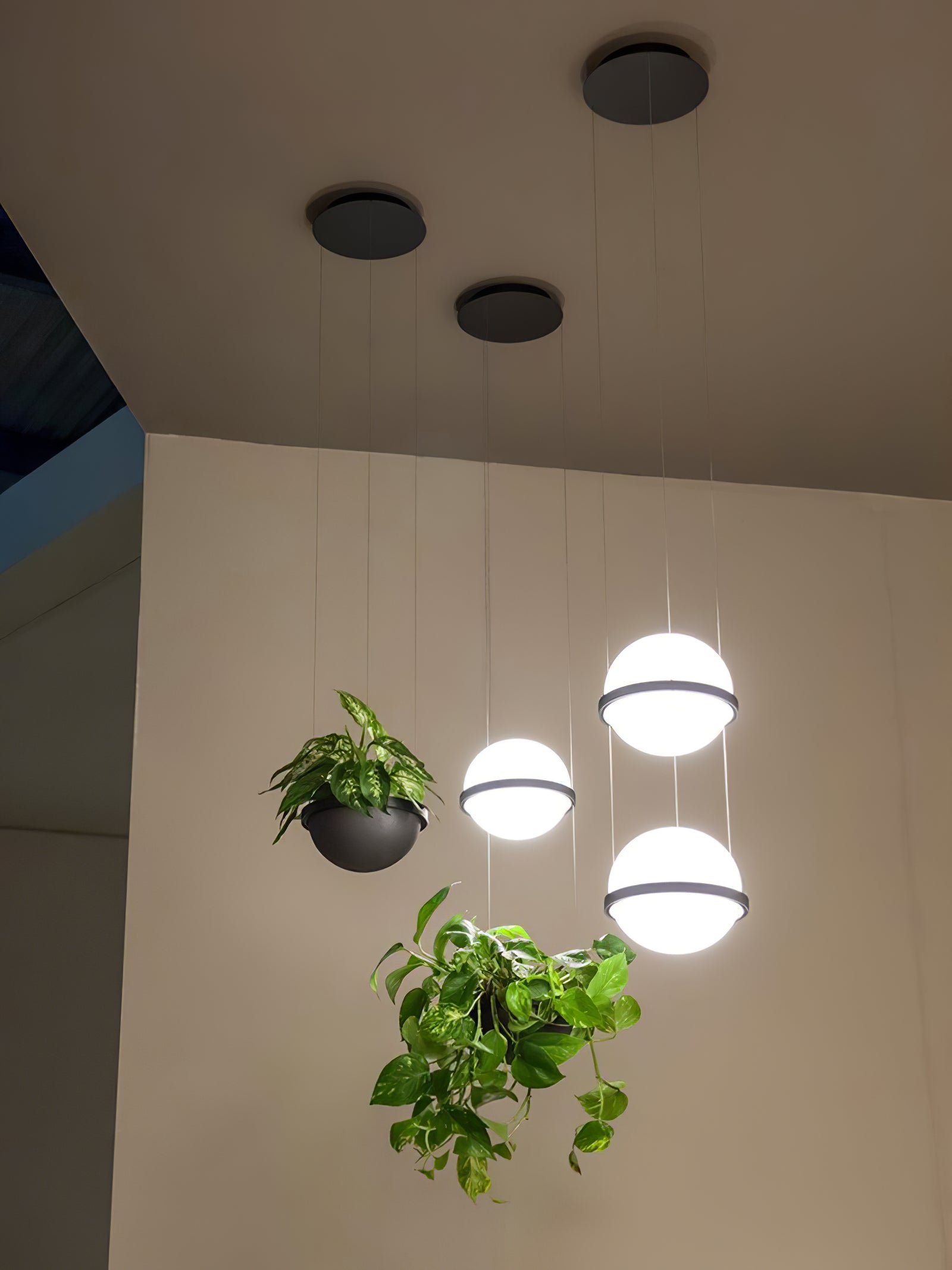 Palma Pendant Lamp