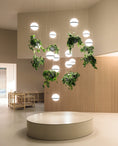 Load image into Gallery viewer, Palma Pendant Lamp
