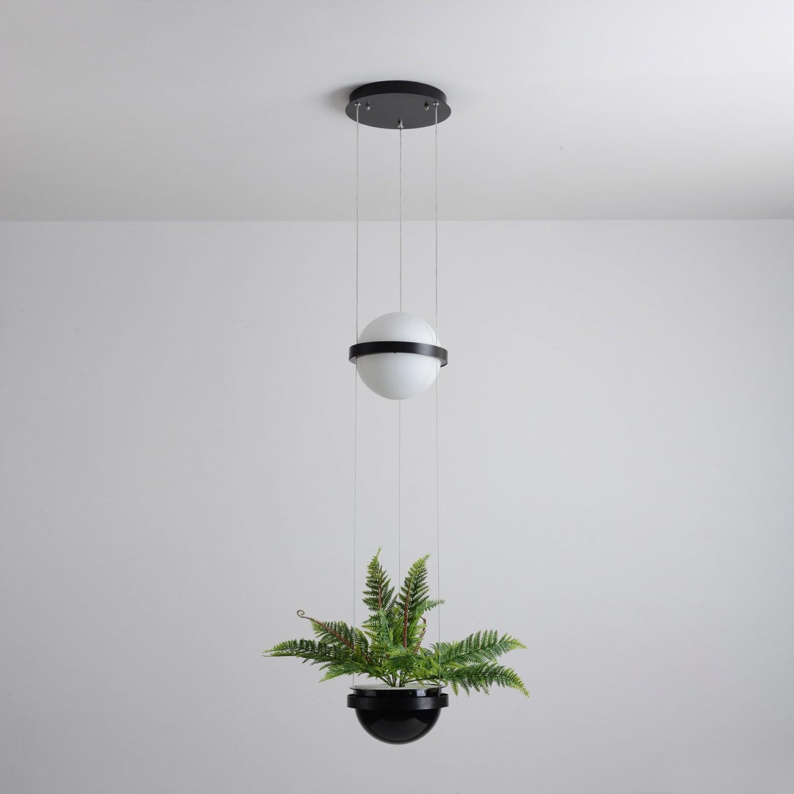 Palma Pendant Lamp