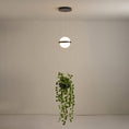 Load image into Gallery viewer, Palma Pendant Lamp
