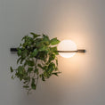 Load image into Gallery viewer, Palma Wall Lamp
