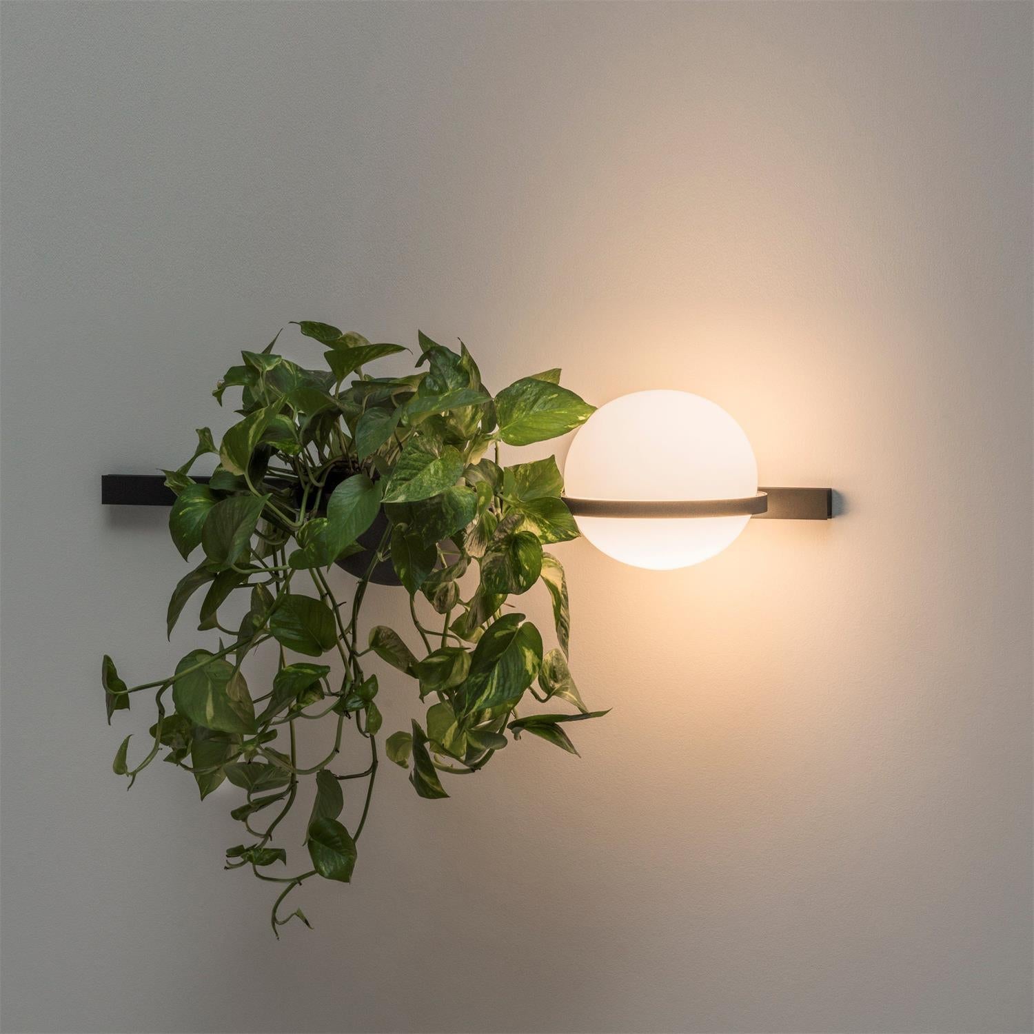 Palma Wall Lamp