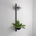 Load image into Gallery viewer, Palma Wall Lamp
