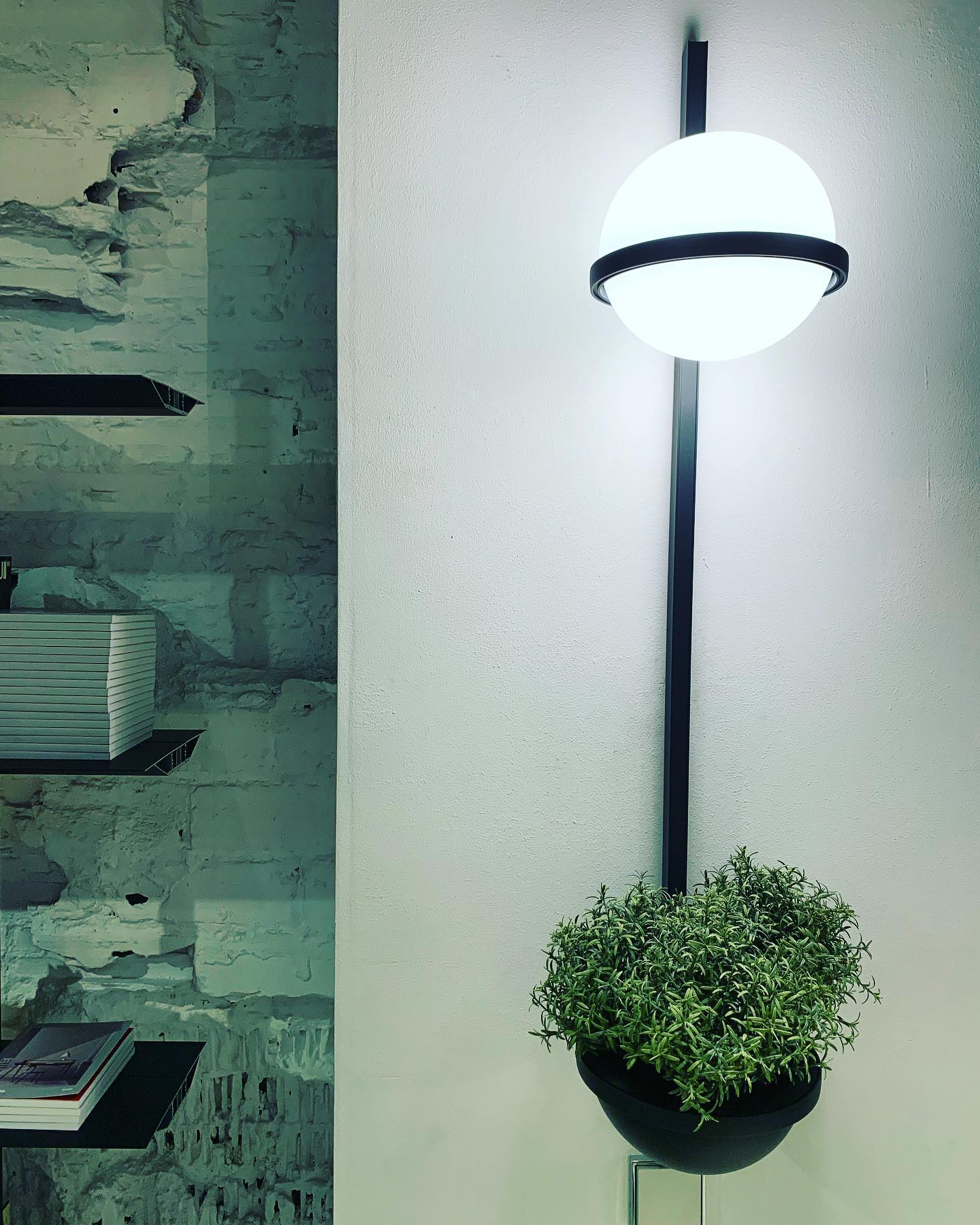 Palma Wall Lamp