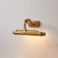 Load image into Gallery viewer, Pania Brass Wall Lamp
