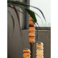 Bild in Galerie-Betrachter laden, Payson Alabaster Floor Lamp
