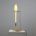 Load image into Gallery viewer, Perch Table Lamp
