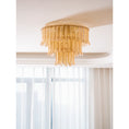 Load image into Gallery viewer, Plume Glass Ceiling Light
