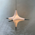 Bild in Galerie-Betrachter laden, Polar Chandelier
