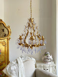 Bild in Galerie-Betrachter laden, Purple Glass Birdcage Chandelier
