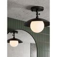 Load image into Gallery viewer, Marie Petite Surface Ceiling Lamp
