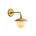 Charger l'image dans la visionneuse de la galerie, Aldevan Wall Sconce
