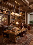Bild in Galerie-Betrachter laden, Belmont Leather Alabaster Linear Chandelier
