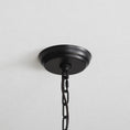 Bild in Galerie-Betrachter laden, Branvelle Chandelier
