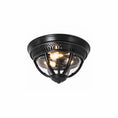 Bild in die Galerieansicht laden, Brelmont Flush Mount Ceiling Light

