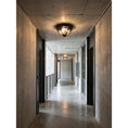 Bild in die Galerieansicht laden, Brelmont Flush Mount Ceiling Light

