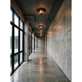 Bild in die Galerieansicht laden, Brelmont Flush Mount Ceiling Light

