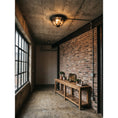 Bild in die Galerieansicht laden, Brelmont Flush Mount Ceiling Light
