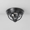 Bild in die Galerieansicht laden, Brelmont Flush Mount Ceiling Light

