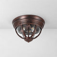 Bild in die Galerieansicht laden, Brelmont Flush Mount Ceiling Light
