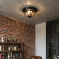 Bild in die Galerieansicht laden, Brelmont Flush Mount Ceiling Light
