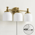 Bild in Galerie-Betrachter laden, Chart Glass Plug-in Wall Sconce
