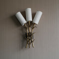 Bild in Galerie-Betrachter laden, Chelsea Wall Sconces
