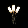 Bild in Galerie-Betrachter laden, Chelsea Wall Sconces
