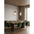 Charger l'image dans la visionneuse de la galerie, Chrishell Alabaster Pendant Lamp

