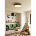 Load image into Gallery viewer, Color Stack Flush Mount
