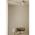 Load image into Gallery viewer, Davise Flush Mount
