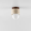 Load image into Gallery viewer, Davise Flush Mount
