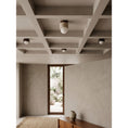 Load image into Gallery viewer, Davise Flush Mount
