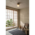 Load image into Gallery viewer, Davise Flush Mount
