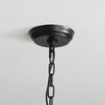Bild in Galerie-Betrachter laden, Dunwelle Chandelier
