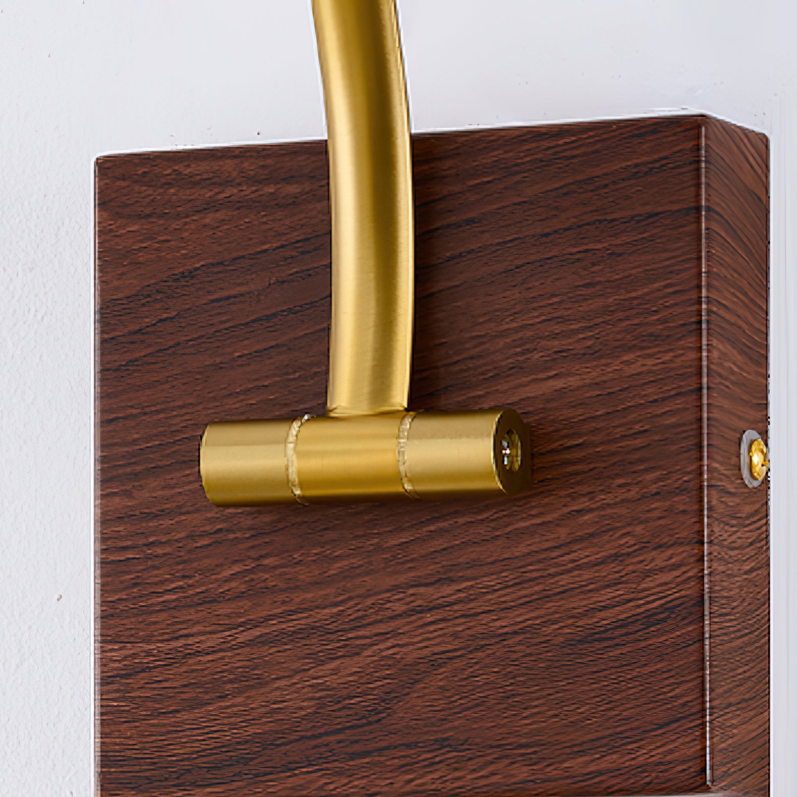 Elowen Brass Plug-in Wall Sconce