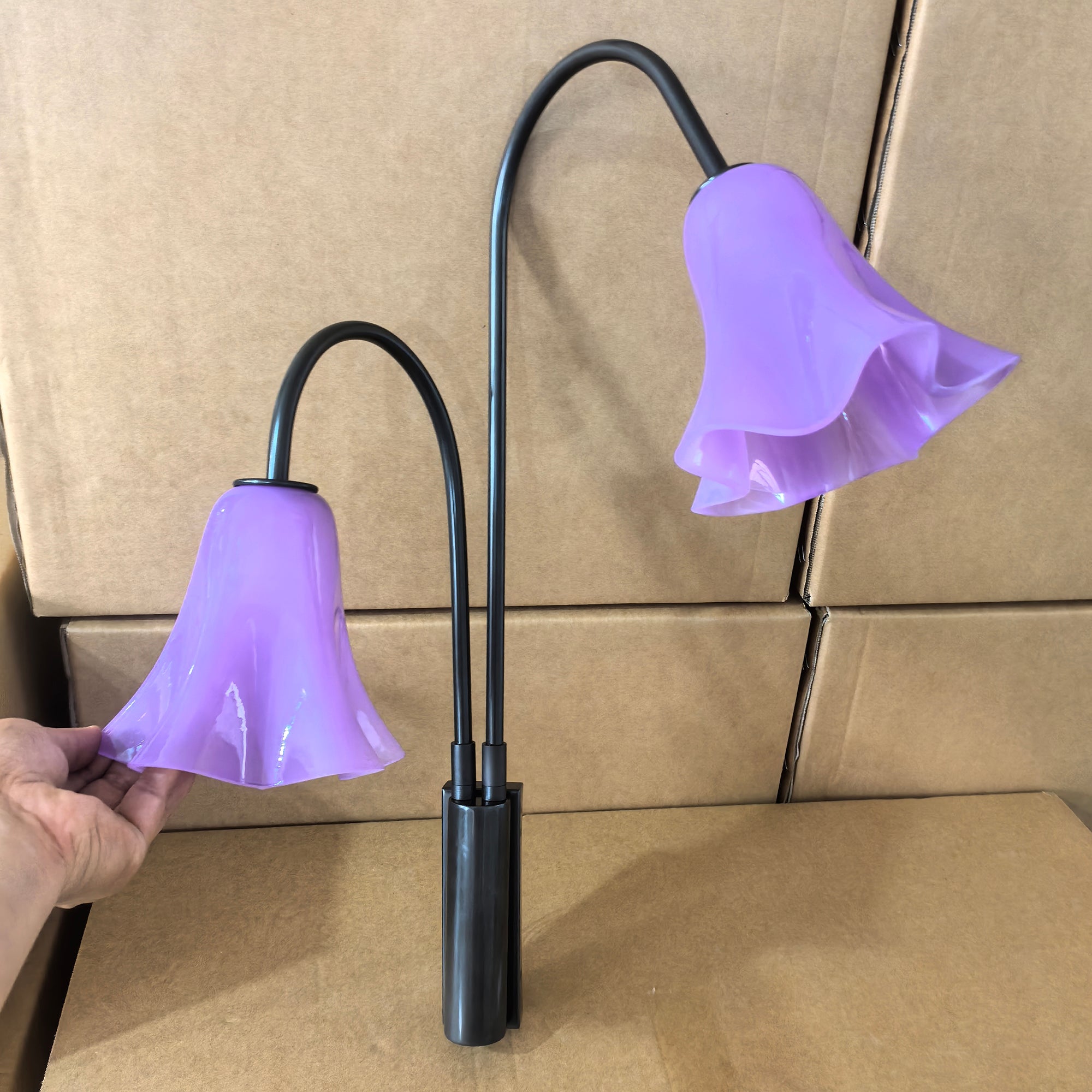 Flora Glass Wall Sconce