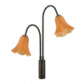 Load image into Gallery viewer, Flora Glass Wall Sconce
