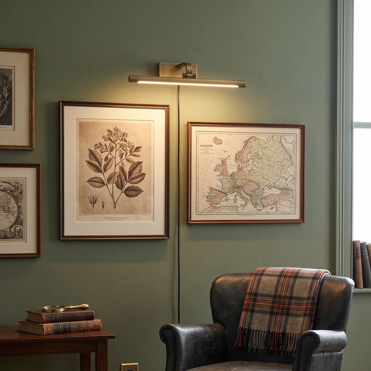 Goya Brass Plug-in Wall Sconce