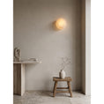 Bild in Galerie-Betrachter laden, Hadley Alabaster Wall Sconce
