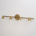 Load image into Gallery viewer, Halophane Brass Wall Lamp
