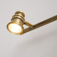 Load image into Gallery viewer, Halophane Brass Wall Lamp
