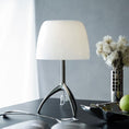 Bild in Galerie-Betrachter laden, Lumiere Table Lamp
