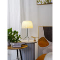Bild in Galerie-Betrachter laden, Lumiere Table Lamp
