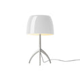 Bild in Galerie-Betrachter laden, Lumiere Table Lamp
