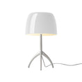 Bild in Galerie-Betrachter laden, Lumiere Table Lamp
