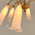 Bild in Galerie-Betrachter laden, Montclair Chandelier

