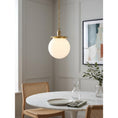 Load image into Gallery viewer, Nolan Globe Pendant Lamp
