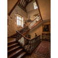 Load image into Gallery viewer, Sherwood Botanical Chandelier
